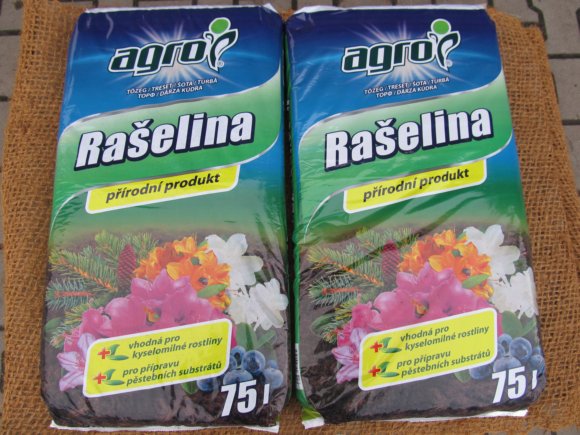 Rašelina